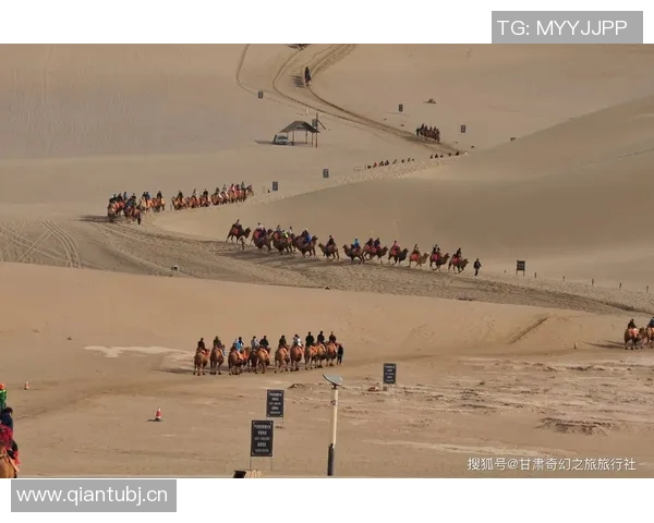 城市赛特别报道：JDG战队如何从逆境中崛起实现辉煌突破之路